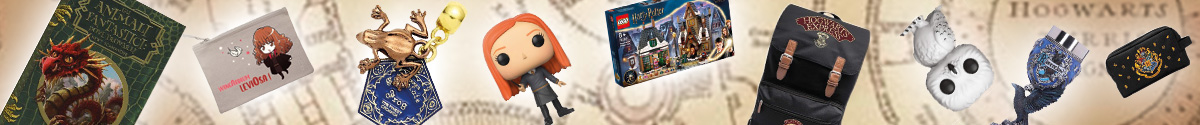 Banner Harry Potter